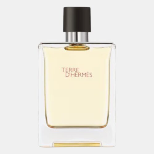 Alternative view of Hermès Terre D'Hermès Eau de Toilette 100 ml. Spray