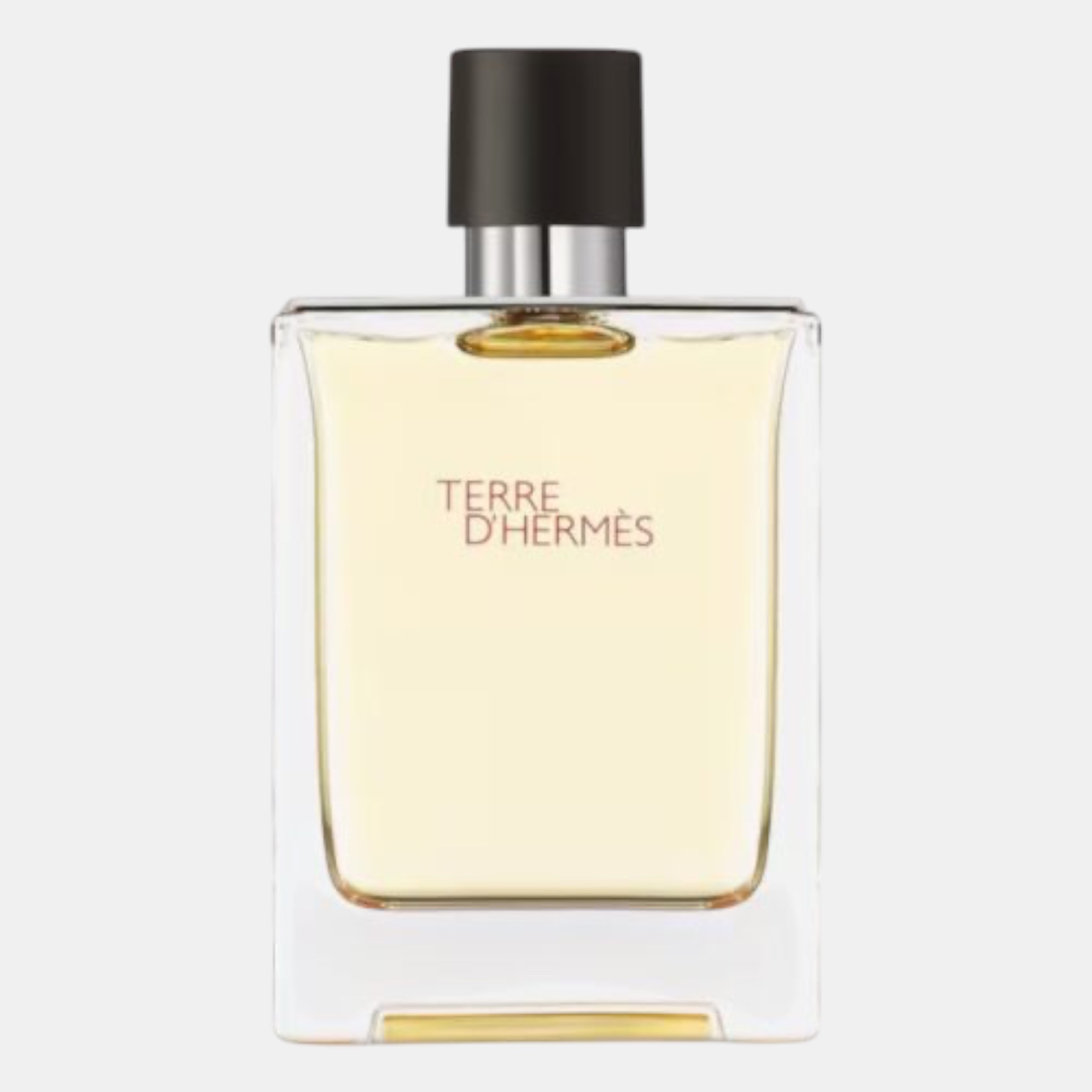 Hermès Terre D'Hermès Eau de Toilette 100 ml. Spray - immagine 2