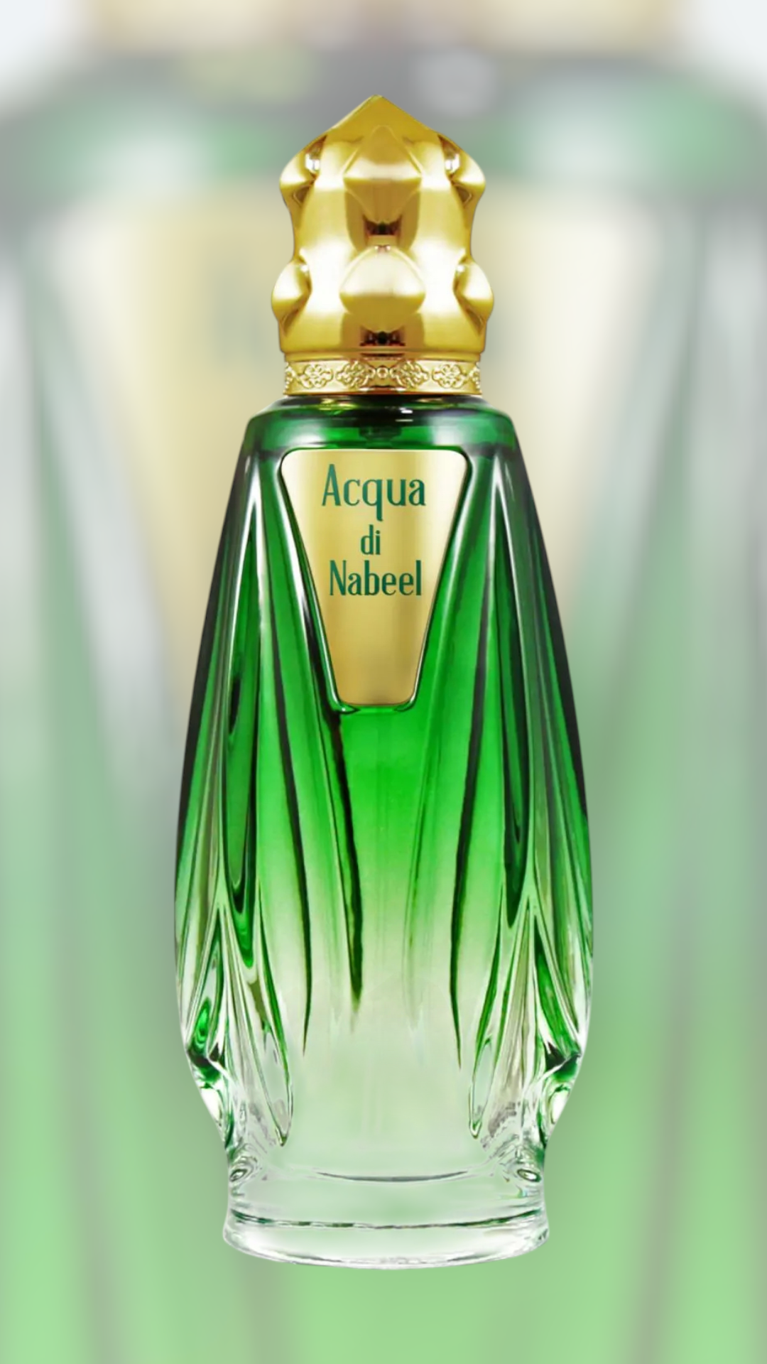 Acqua di Nabeel Unisex 100 ml Spray - immagine 2